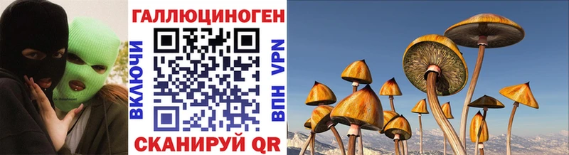 Псилоцибиновые грибы мухоморы  Хасавюрт 